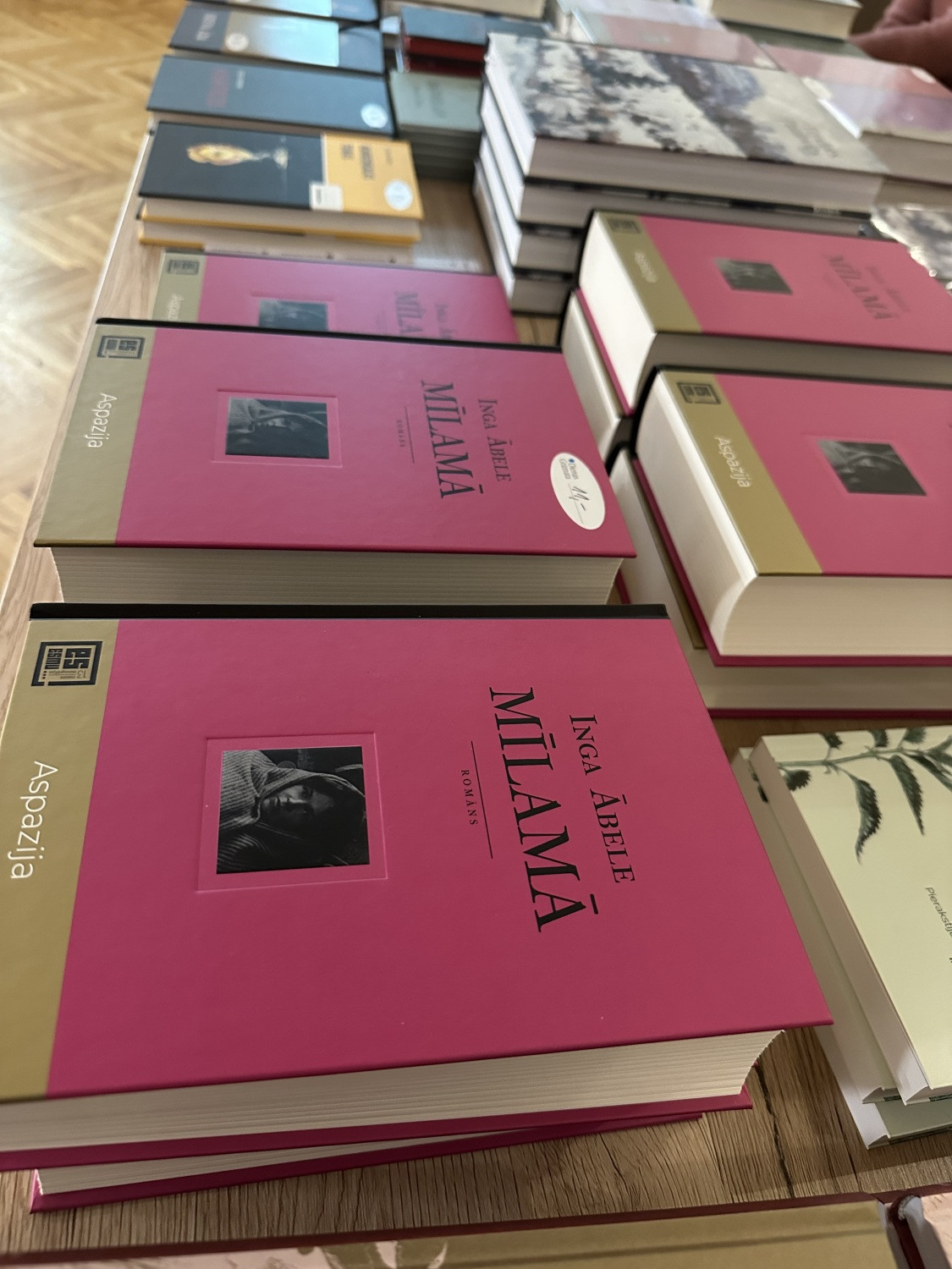 Rakstnieces Ingas Ābeles divu jaunākajo darbu: “Aspazijas debesjums” un “Mīlamā” atvēršanas svētki