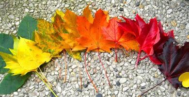 Dzejas pasākums Zaļeniekos