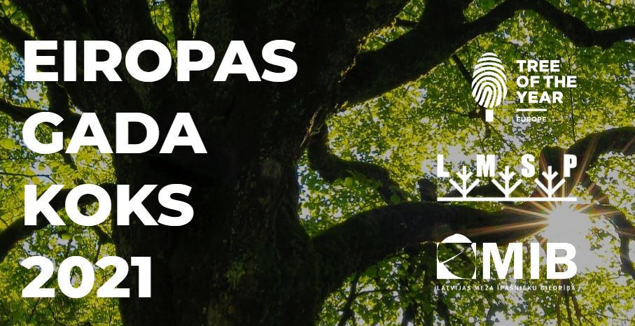 Eiropas gada koks 2021