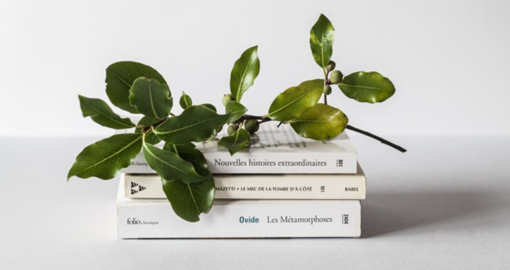 Grāmatu izstādes martā