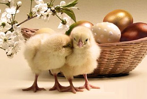 Jelgavas pilsētas bibliotēku darba laiks svētkos