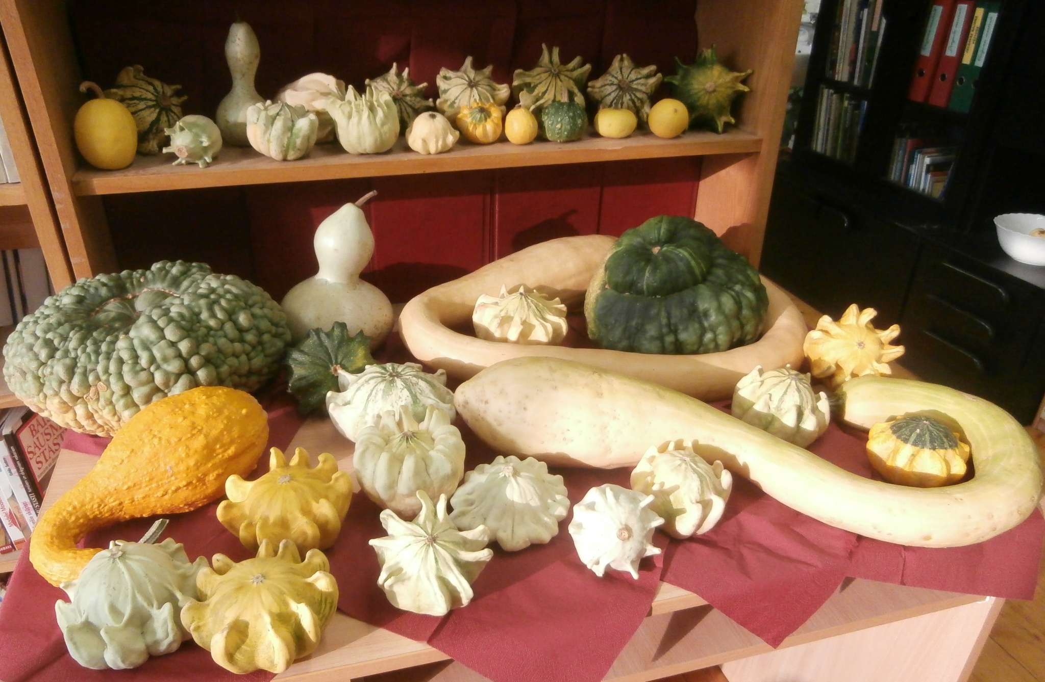 Ķirbīšu saiets Staļģenes bibliotēkā