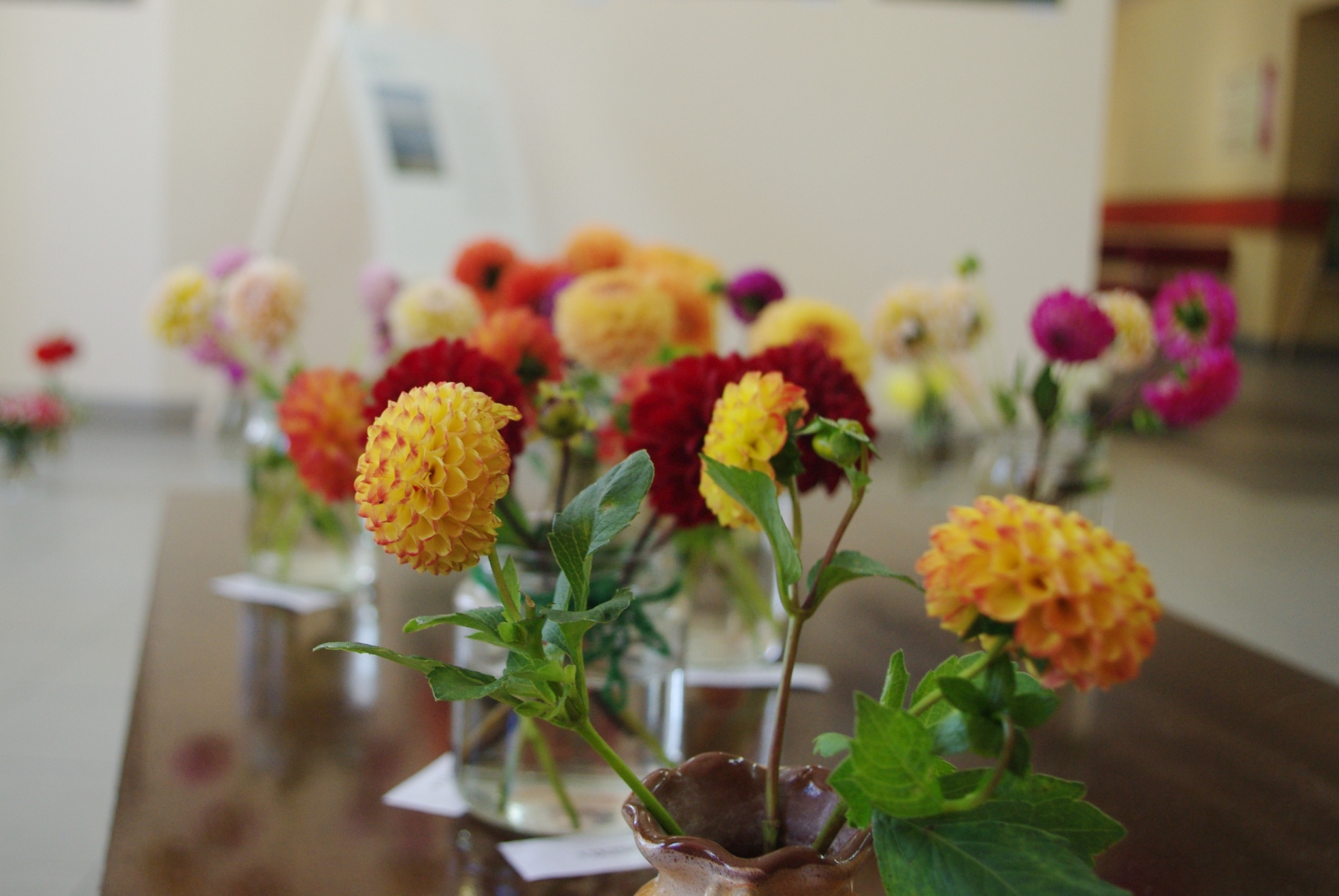 Mirklis pirms salnām 