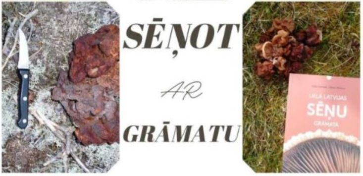 Sēņot ar grāmatu