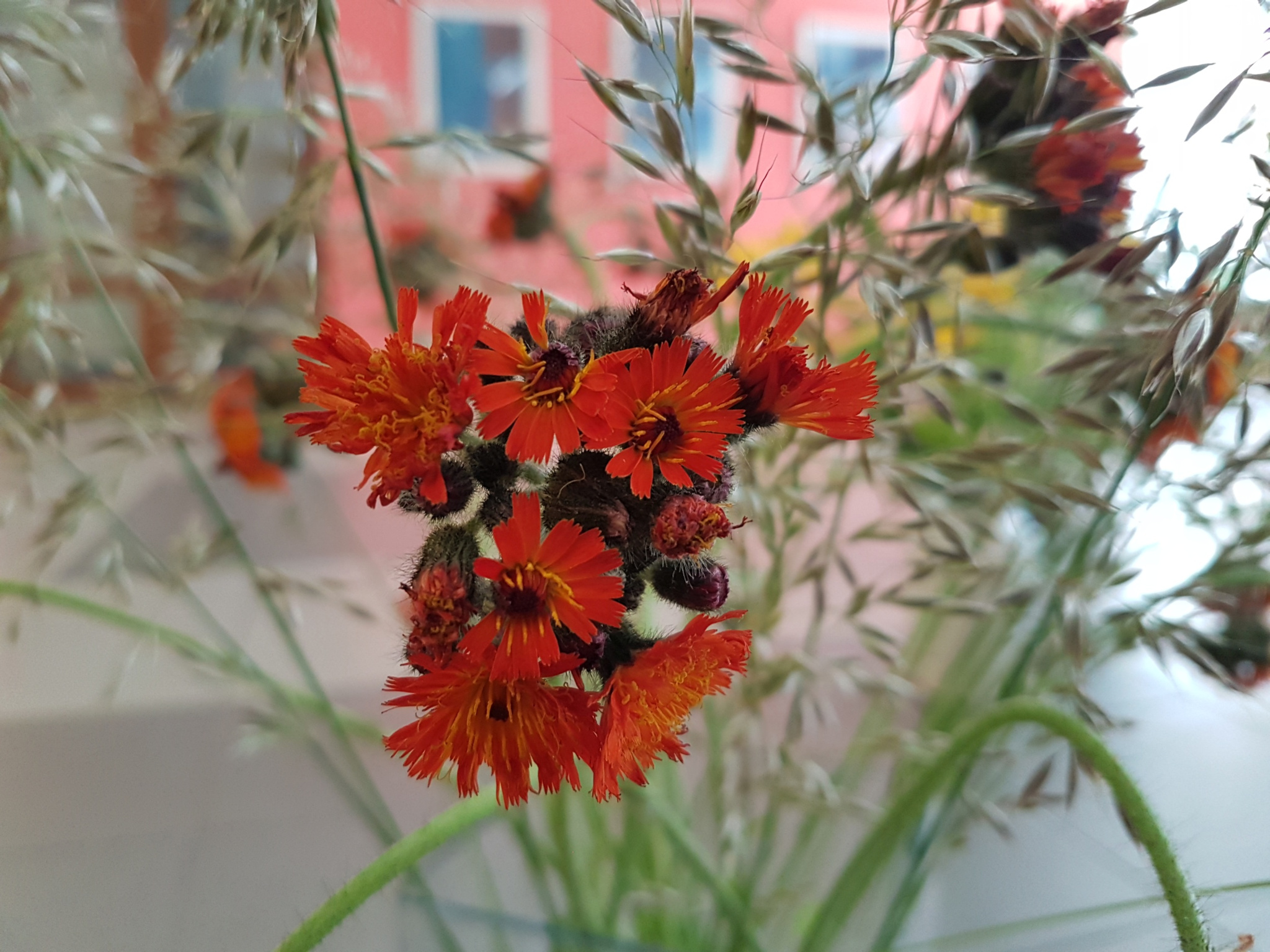 Svētkos mainīts darba laiks