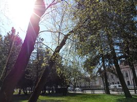 Tautasdziesmu dziedāšanas vakars 
