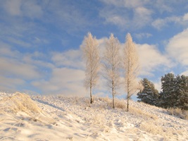 Tautasdziesmu dziedāšanas vakars „Ziemas saulgriežu laiks”