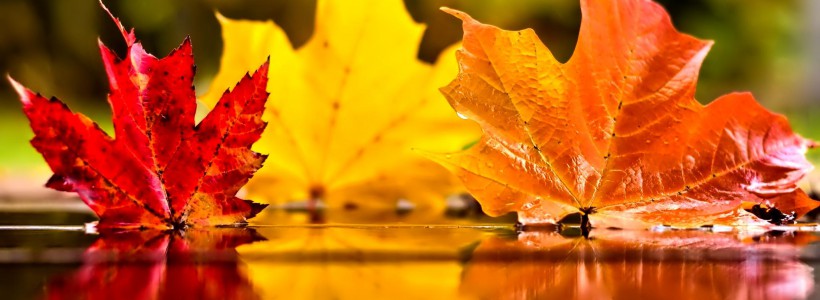 Tautasdziesmu sadziedāšanās vakars