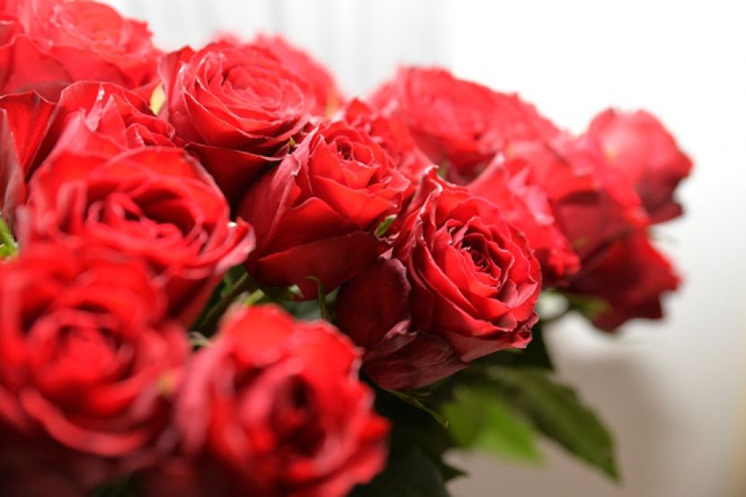 Augstākais apbalvojums - arī Ziedkalnes bibliotēkas vadītājai!