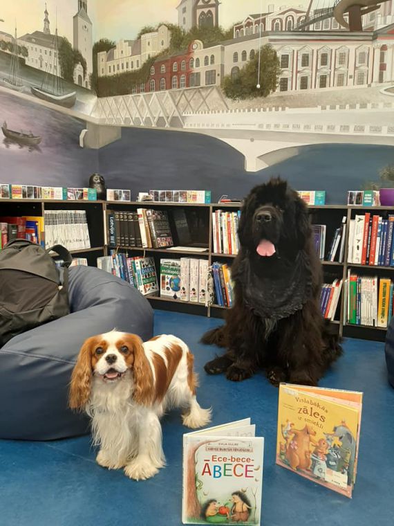 Bibliotēkā bērni grāmatas lasa arī kopā ar suņiem