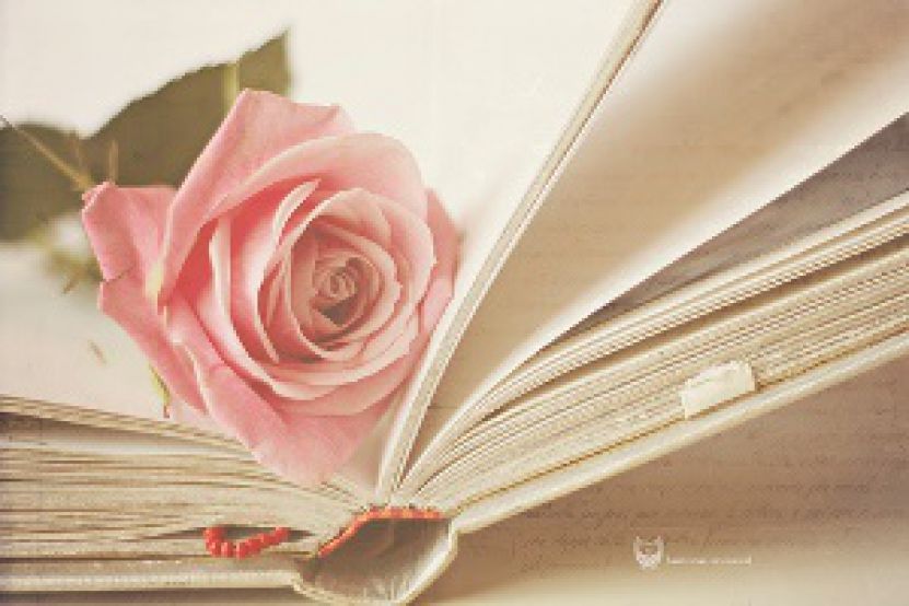 Bibliotēku nedēļas aktivitātes