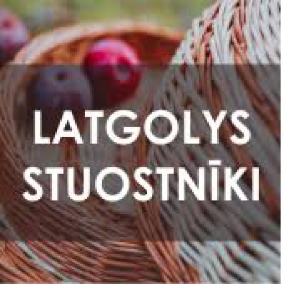 Ja Tev ir stāsts – izstāsti to! Jelgavas pilsētas bibliotēka piedalās V Latgales stāstnieku festivālā