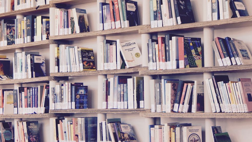 Jaunumu diena Pārlielupes bibliotēkā