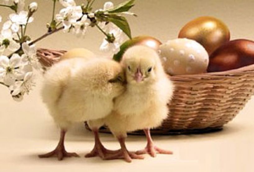 Jelgavas pilsētas bibliotēku darba laiks svētkos