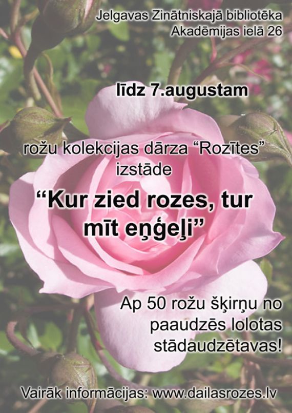 Kur zied rozes, tur mīt eņģeļi