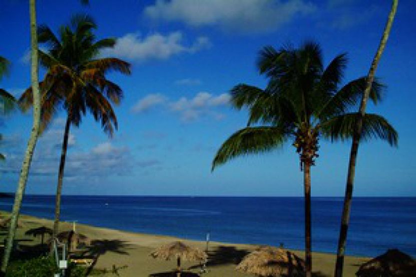 Kurzemes līča stāsts. Tobago