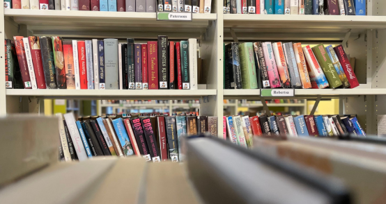 Pagājušajā gadā bibliotēka atguvusi 1631 iespieddarbu