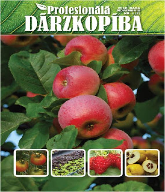 Profesionālā dārzkopība