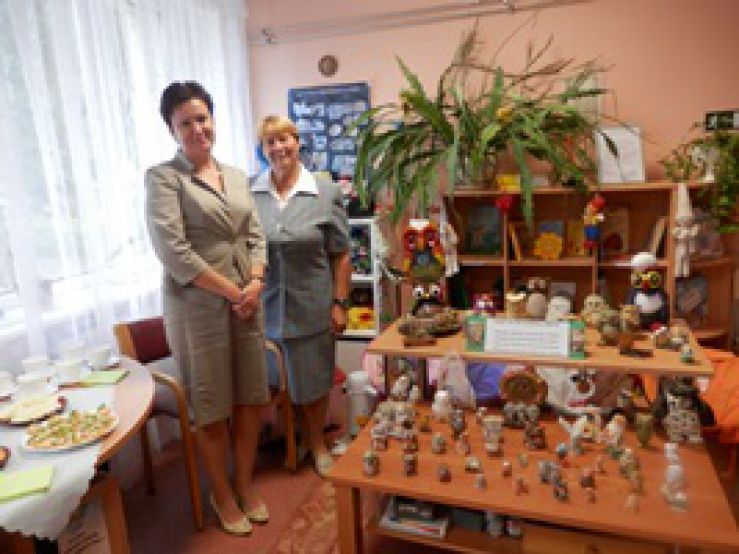 Pūču kolekcija Dzirnieku bibliotēkā