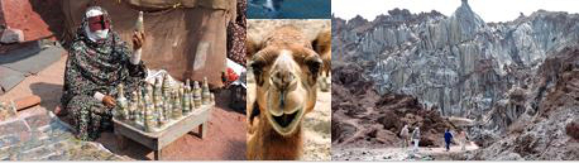 Saruna par Apvienotajiem Arābu Emirātiem Nākotnes bibliotēkā