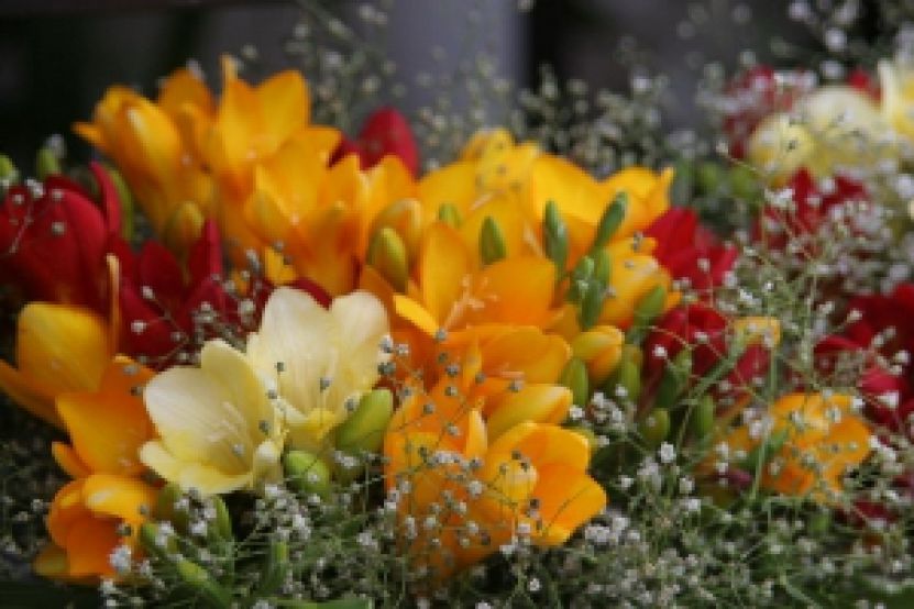 Vēstule no Lielplatones pagasta bibliotēkas vadītājas Māras Puriņas