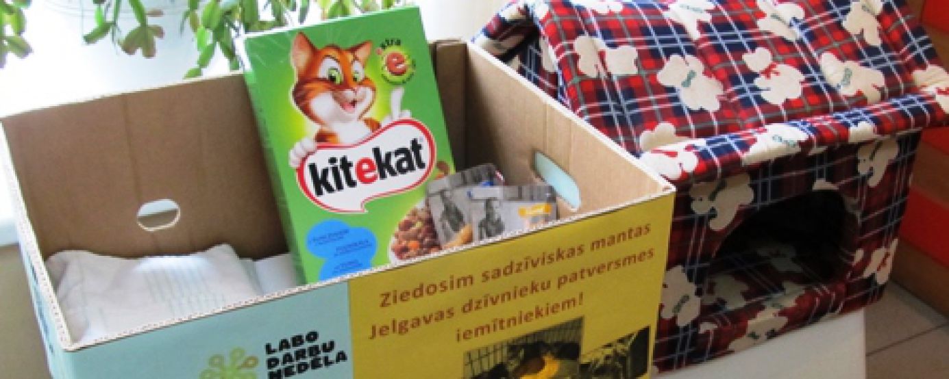Zinātniskajā bibliotēkā var ziedot bezmāju dzīvniekiem