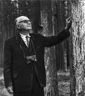 Arvīds Kalniņš