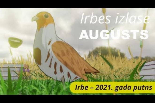 Irbes Izlase (Augusts)