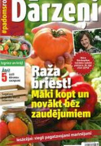 Dārzeņi