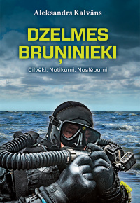 Dzelmes bruņinieki : Cilvēki. Notikumi. Noslēpumi 