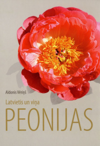 Latvietis un viņa peonijas