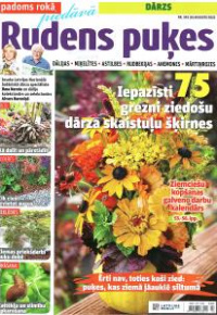 Rudens puķes