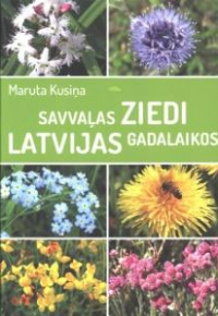 Savvaļas ziedi Latvijas gadalaikos