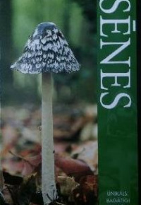 Sēnes 