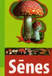 Sēnes