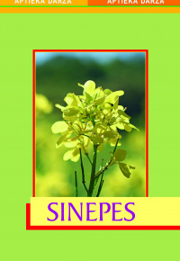 Sinepes
