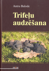 Trifeļu audzēšana  