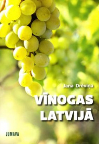 Vīnogas Latvijā