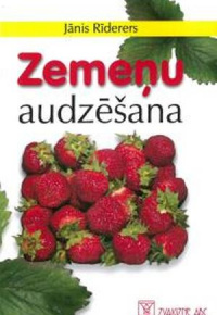 Zemeņu audzēšana