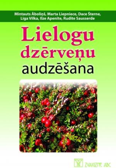 Lielogu dzērveņu audzēšana