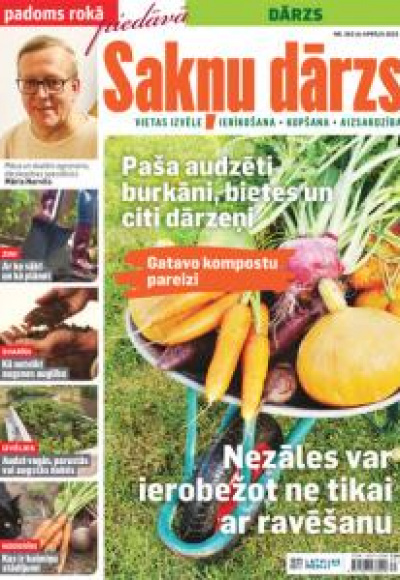 Sakņu dārzs