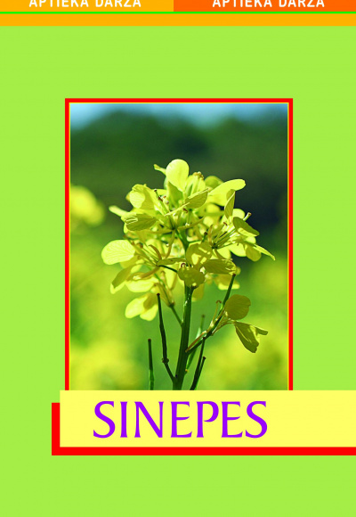 Sinepes